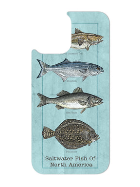 Swap - Saltwater Fish