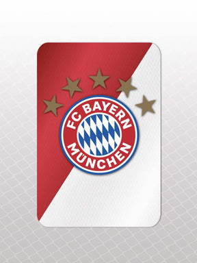 Bag Tag Set - FC Bayern Munich®